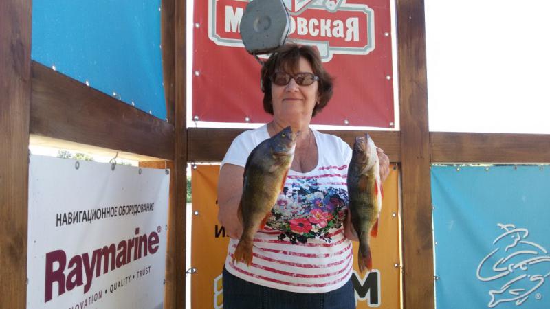 Не знаю осень приближается или просто похолодание но у нас заметное понижение температуры воздуха.