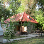 kak-my-soma-lovili-5