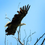 mayskiy-fototur-8
